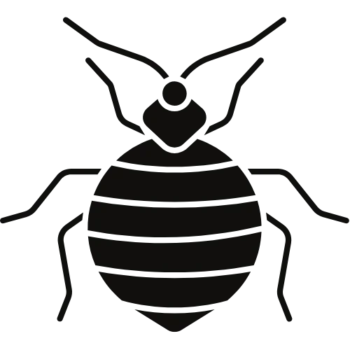 Bed Bug Silhouette Icon Genesee County Michigan