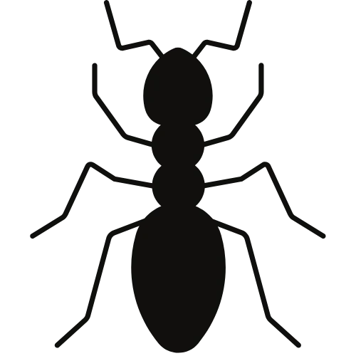 Silhouette Ant Outline Genesee County Michigan