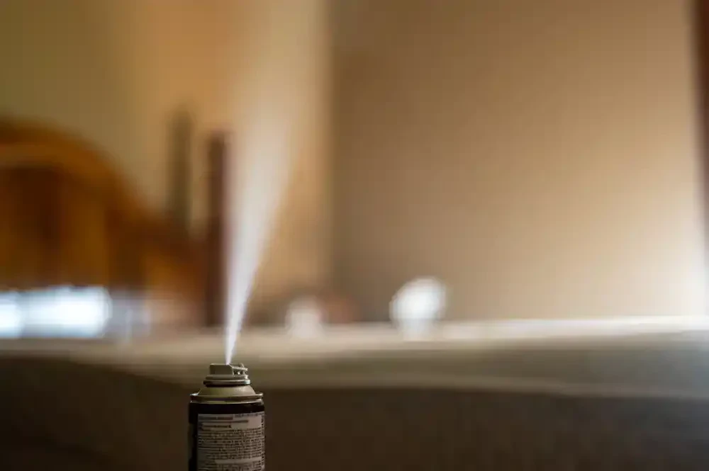 Spray Can Bedroom Blur Genesee County Michigan