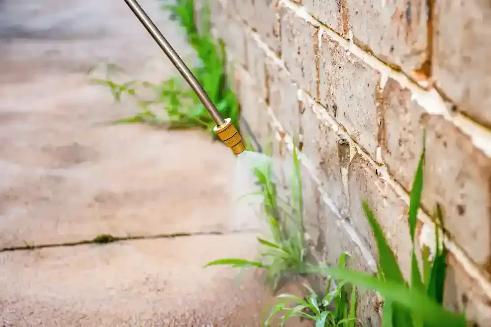 Spraying Weeds Brick Wall Genesee County Michigan