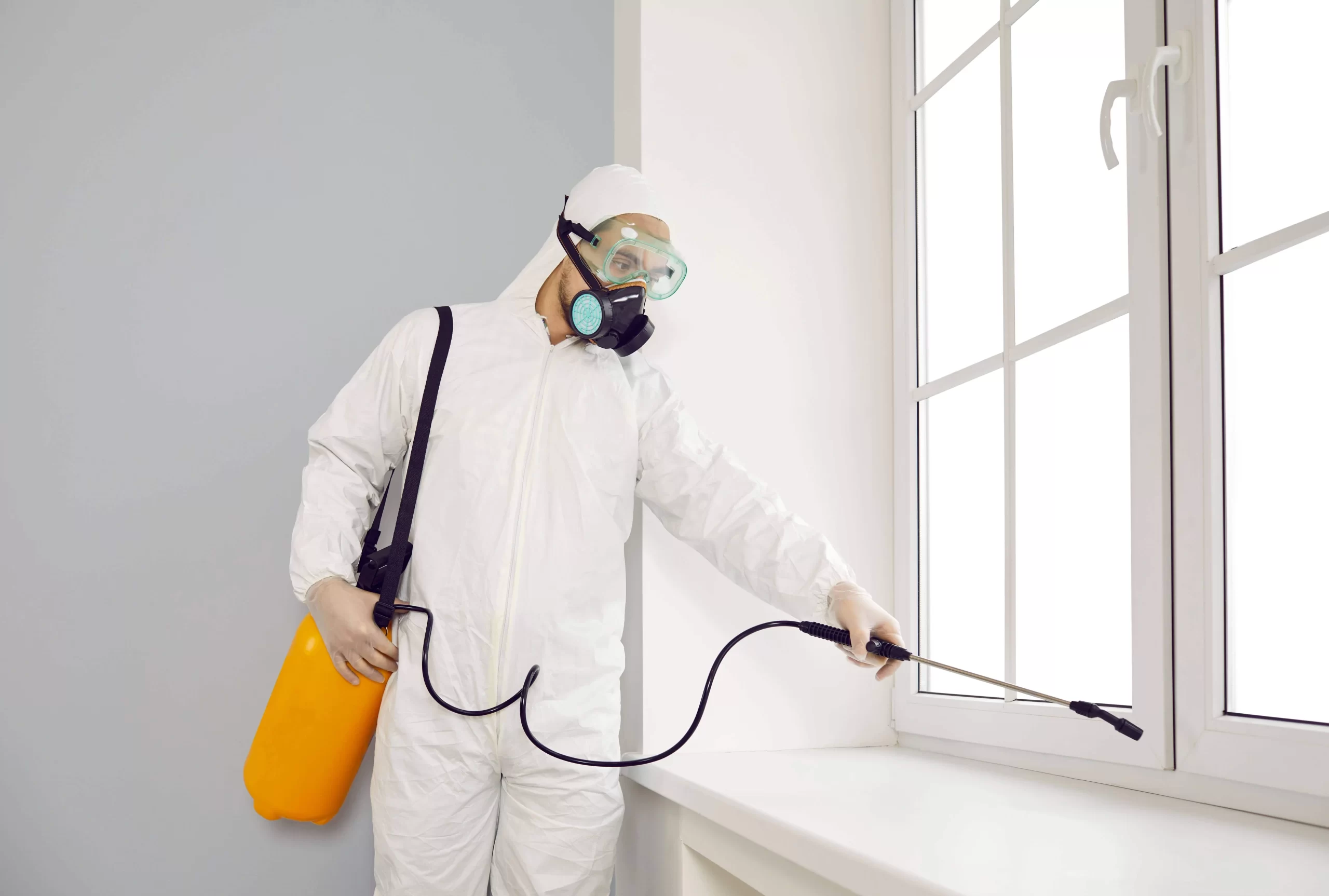 Mosquito Spraying Indoors Genesee County Michigan