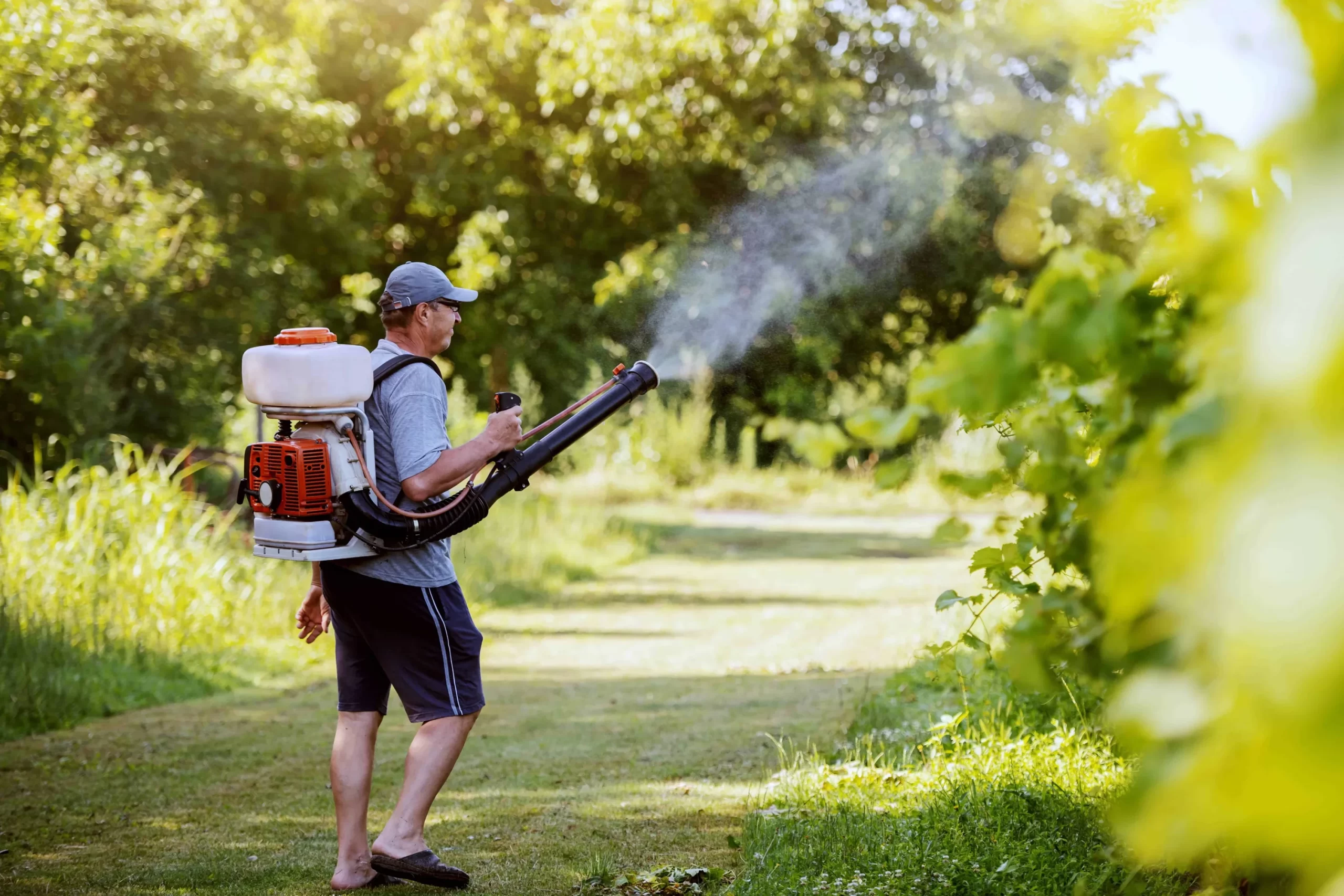 Mosquito Spraying Outdoor Action Genesee County Michigan
