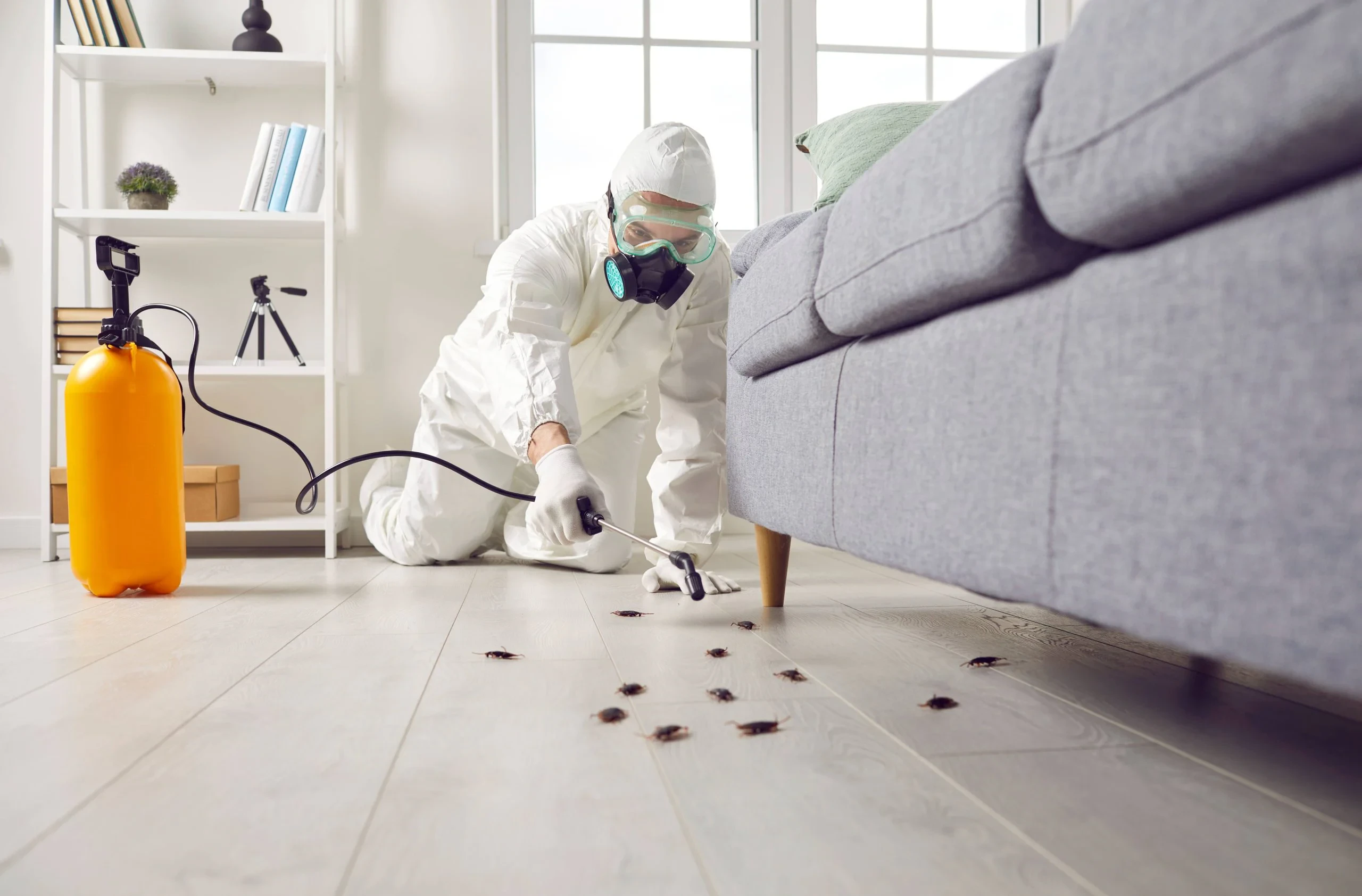 Pest Control Home Service Genesee County Michigan