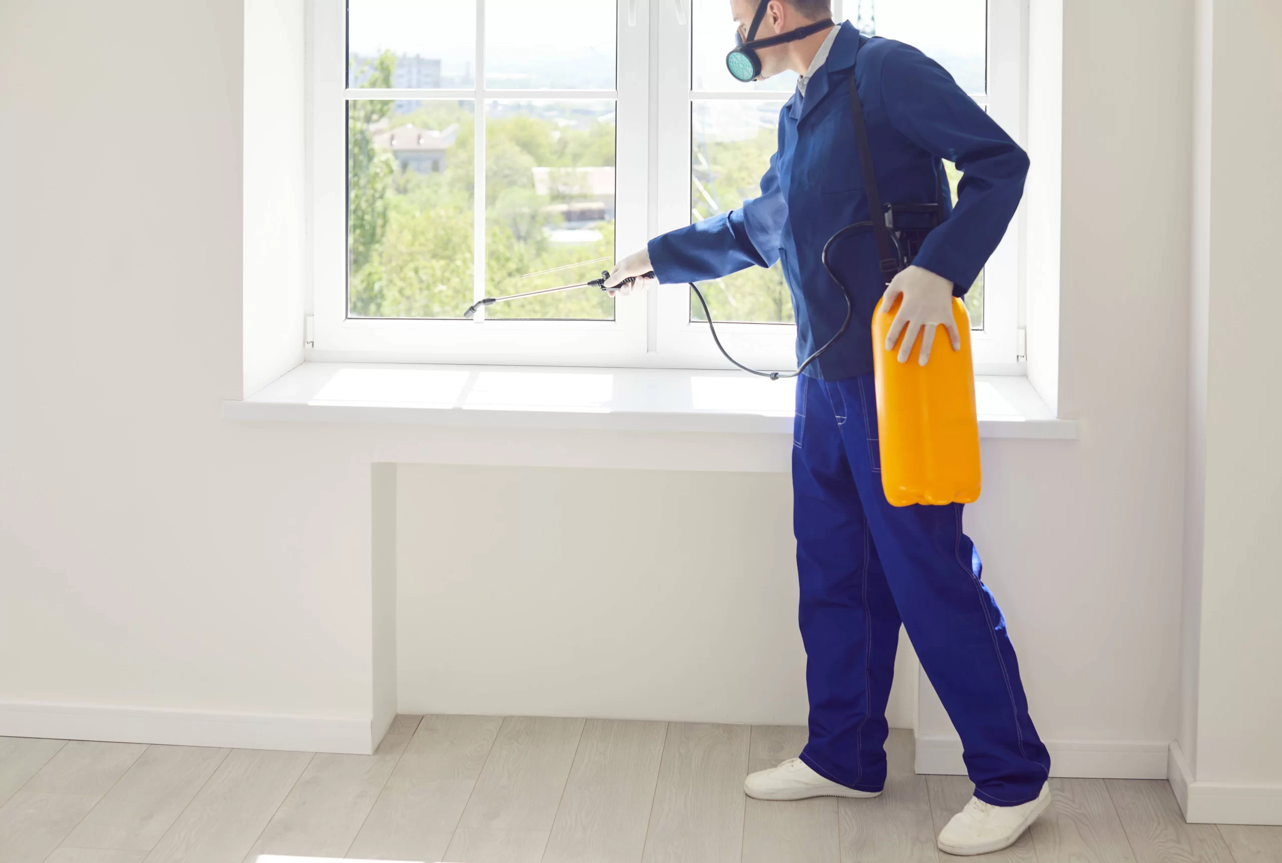 Pest Control Indoors Action Genesee County Michigan