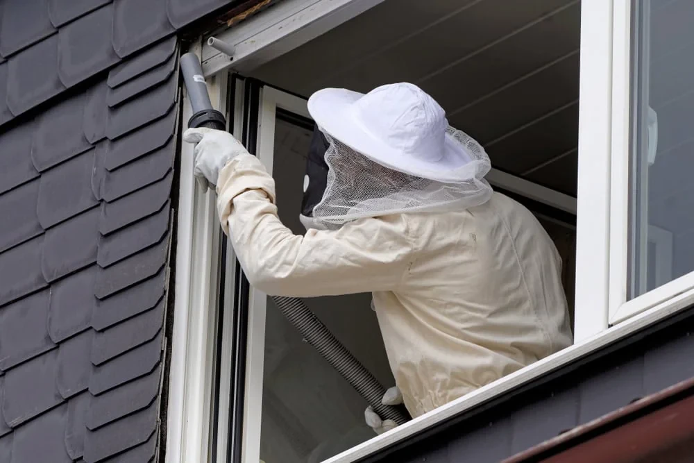 Pest Control Hornet Removal Genesee County Michigan