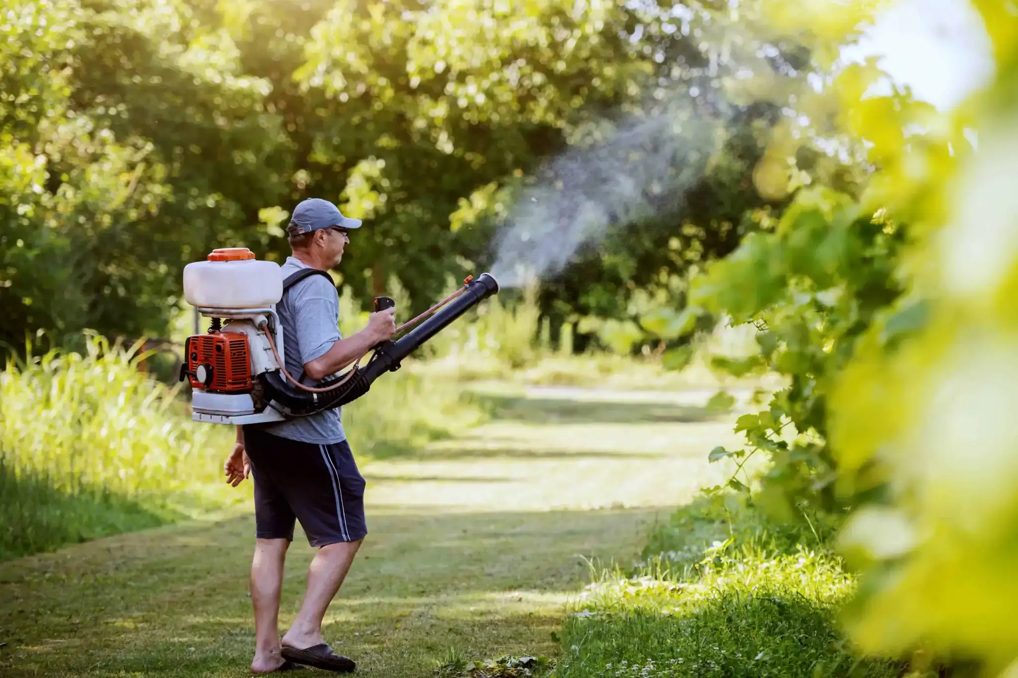 A person wearing a cap and shorts uses a backpack sprayer for pest control along a grassy path in a sunlit, green outdoor area in Genesee County, MI.